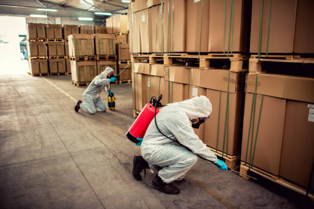 Best Bed Bug Extermination  in Marco Island, FL