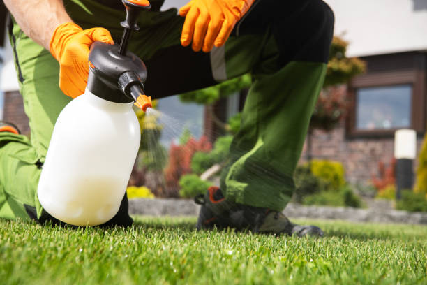Best Affordable Pest Control Services  in Marco Island, FL