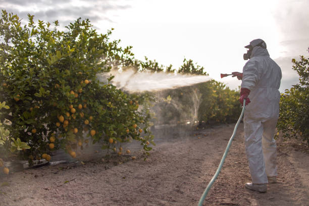 Pest Control for Restaurants in Marco Island, FL