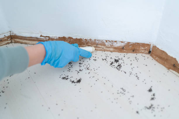 Best Best Pest Control Companies  in Marco Island, FL